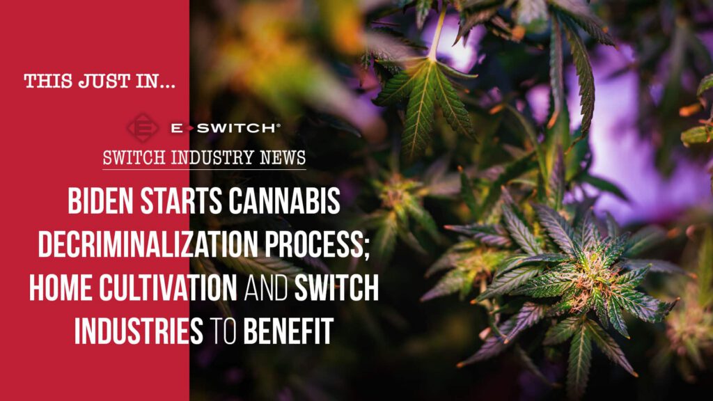 Cannabis Decriminalization Process Started; Switch Industry to Benefit Featured Image