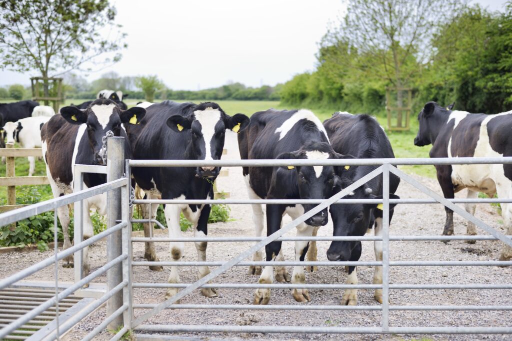 Automatic Gate Opener
