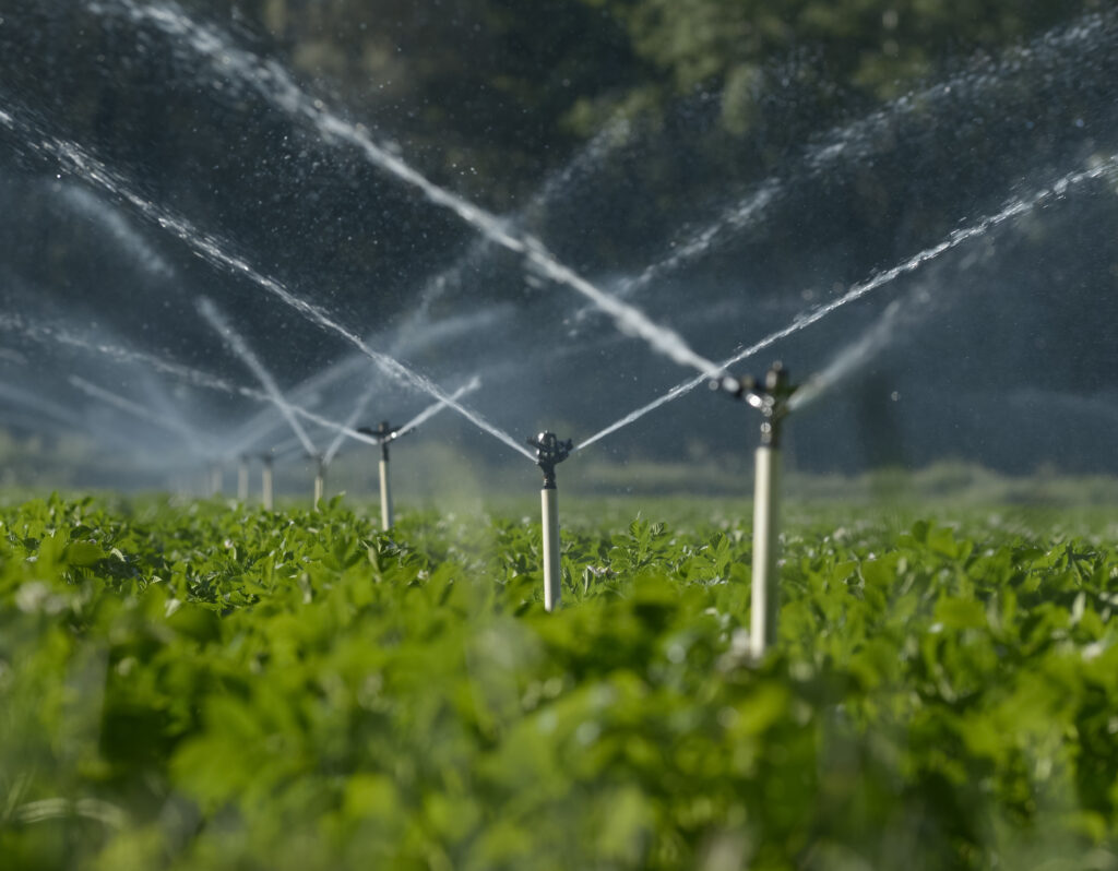 Irrigation System